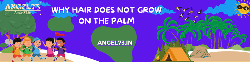 why hair does not grow on the palm